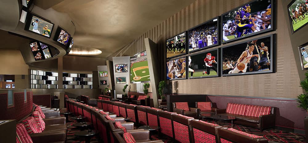 Aria Race and Sports Book Wall