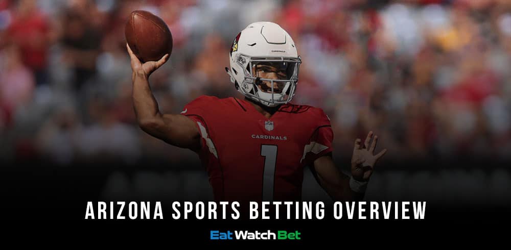 Arizona Sports Betting Overview