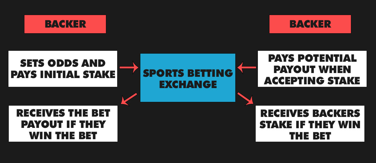 How a Bet Works in a Sports Betting Exchange
