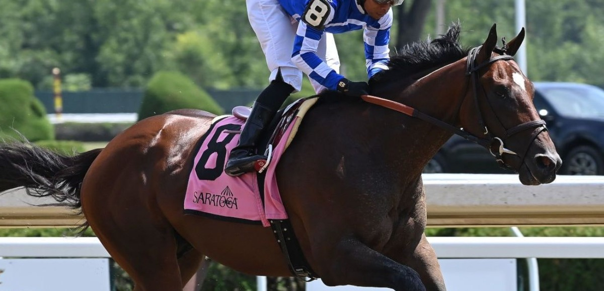 2023 Preakness Stakes Odds and Best Bets