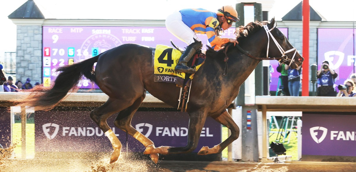 2023 Belmont Stakes Odds & Best Bets