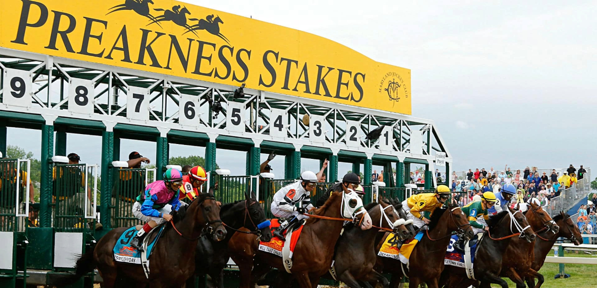 2024 Preakness Stakes Betting Preview: Live Odds and 3 Best Bets